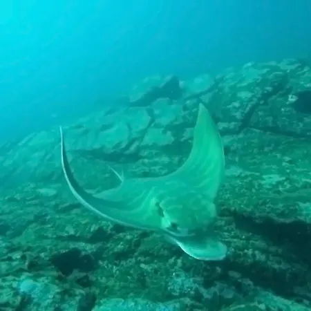 Private With Air Condition And Pool